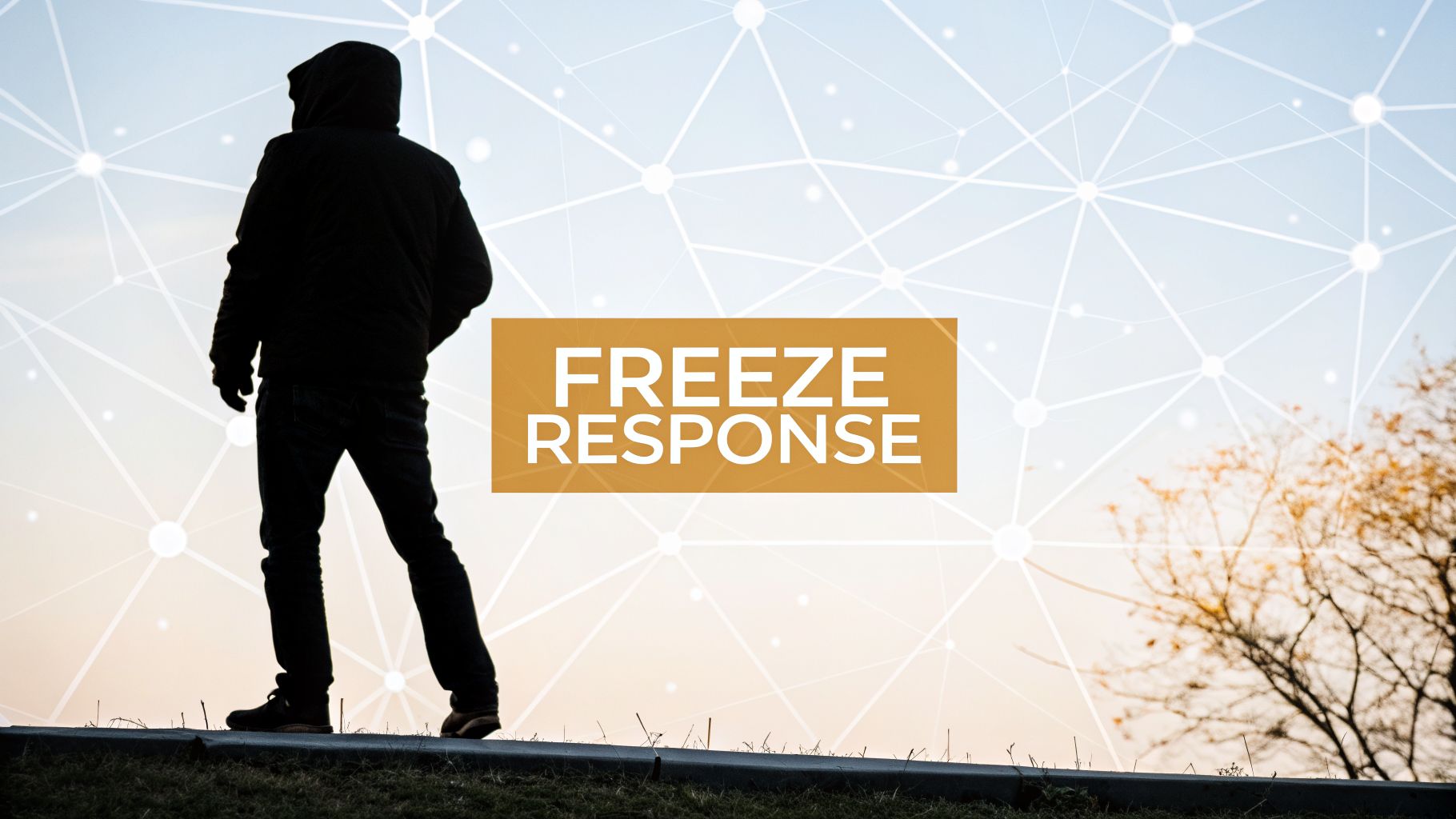 freeze-trauma-response-silhouette-network