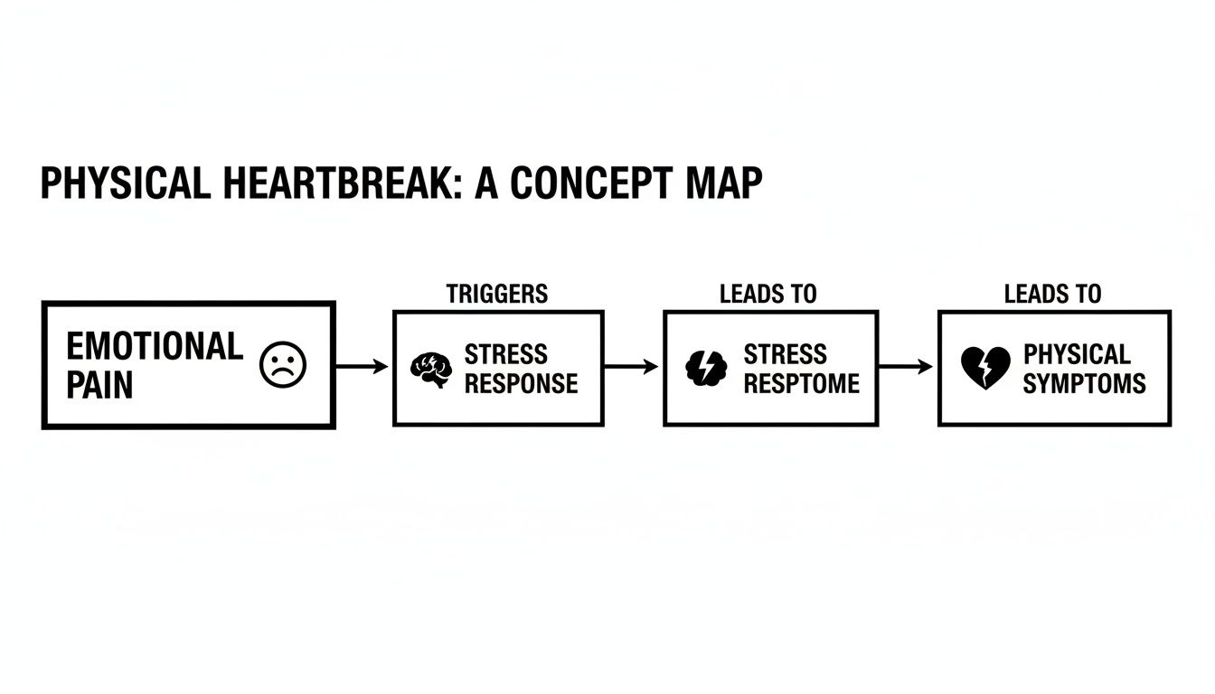 A concept map illustrating the progression from emotional pain, through stress, to physical symptoms of heartbreak.