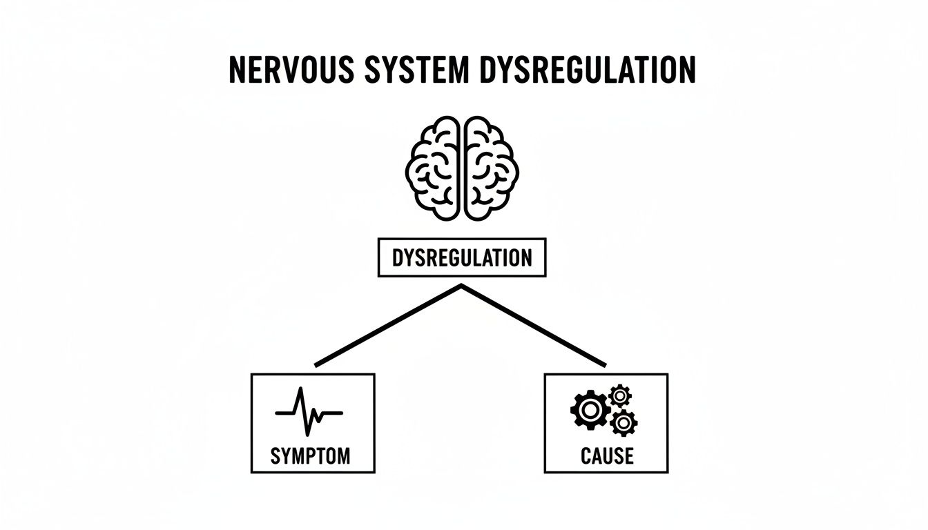 Diagram illustrates nervous system dysregulation, showing how it leads to symptoms and identifies causes.