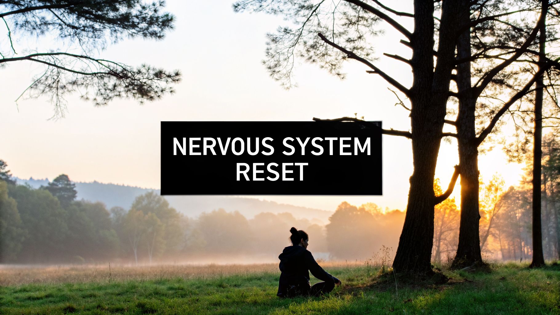 what-is-nervous-system-regulation-reset