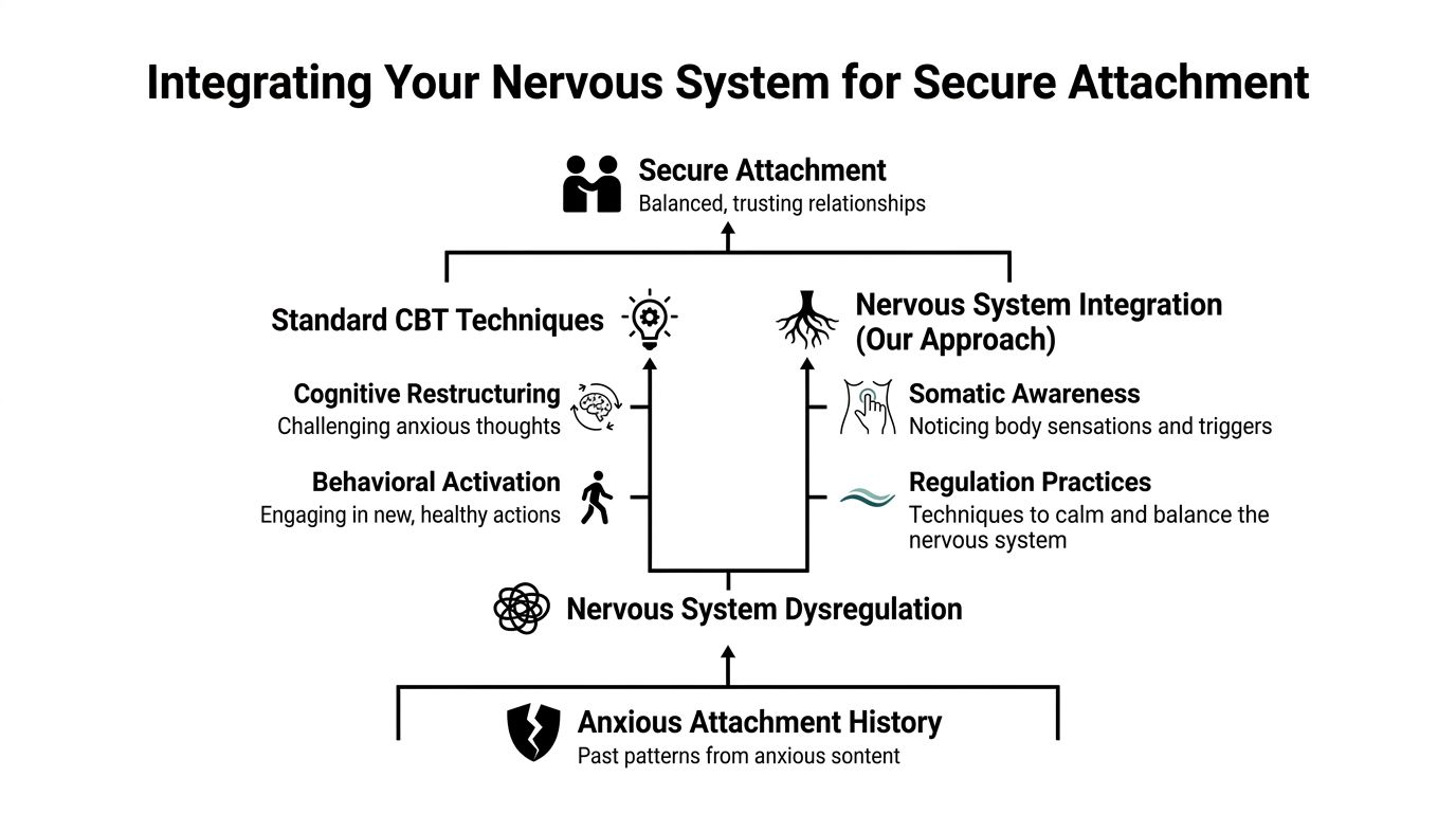 A diagram illustrating how nervous system integration and CBT techniques help transition from anxious attachment to secure attachment.