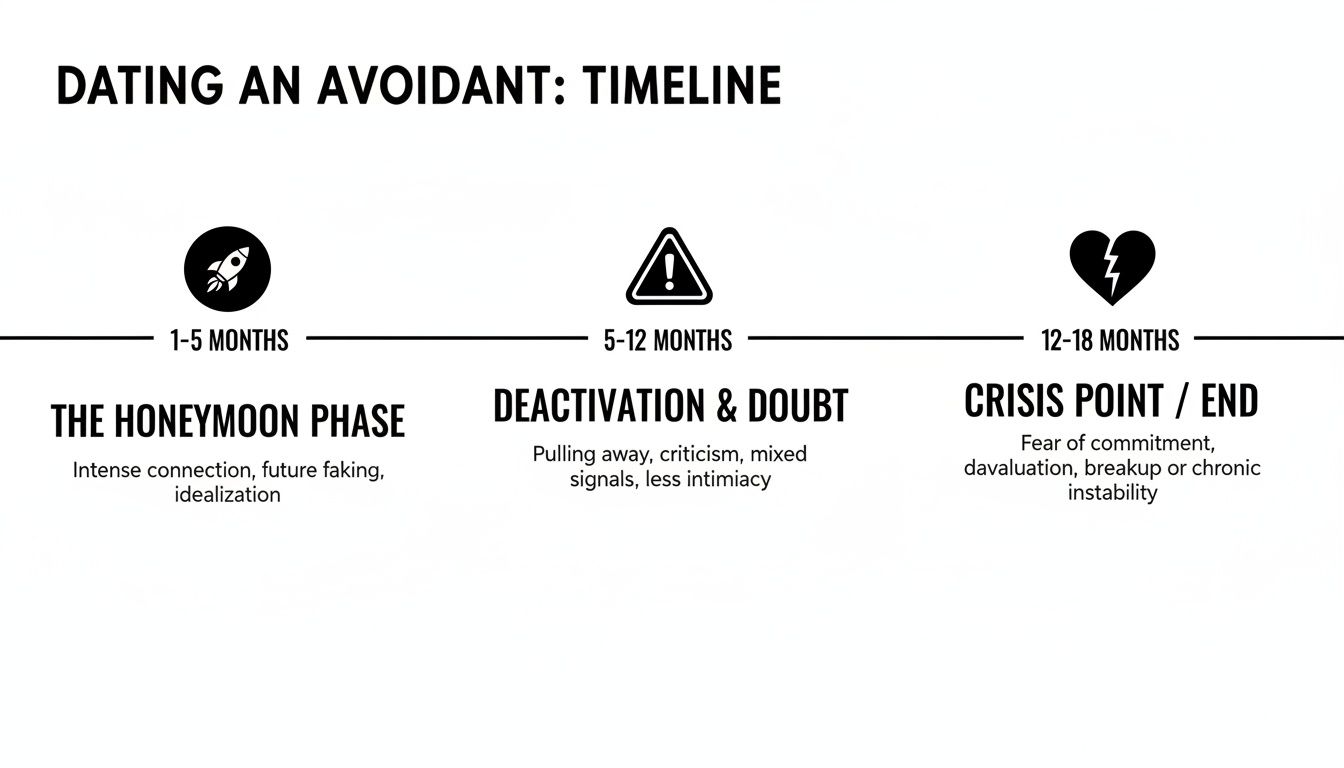 A timeline illustrating the phases of dating an avoidant person, from honeymoon to crisis.