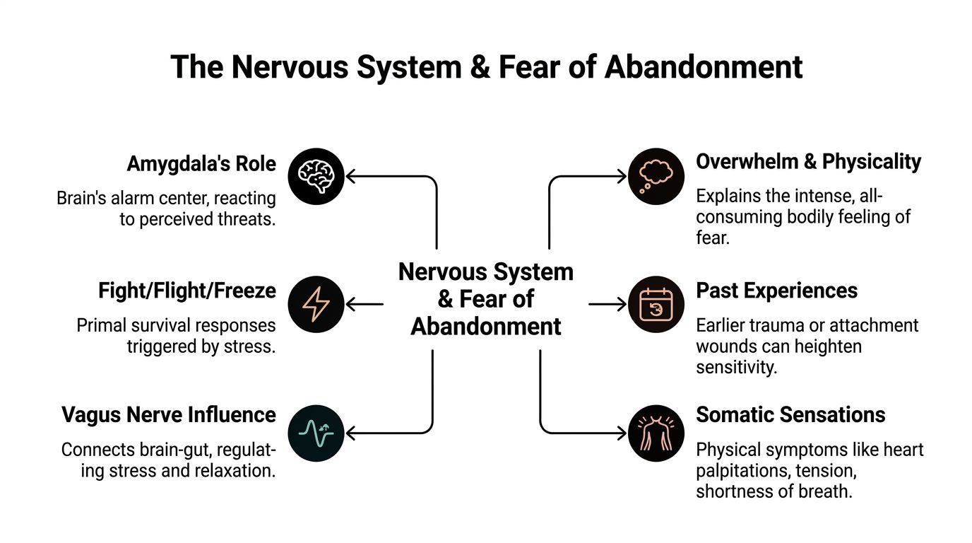 A diagram illustrating how the nervous system impacts the fear of abandonment through physiological and psychological responses.