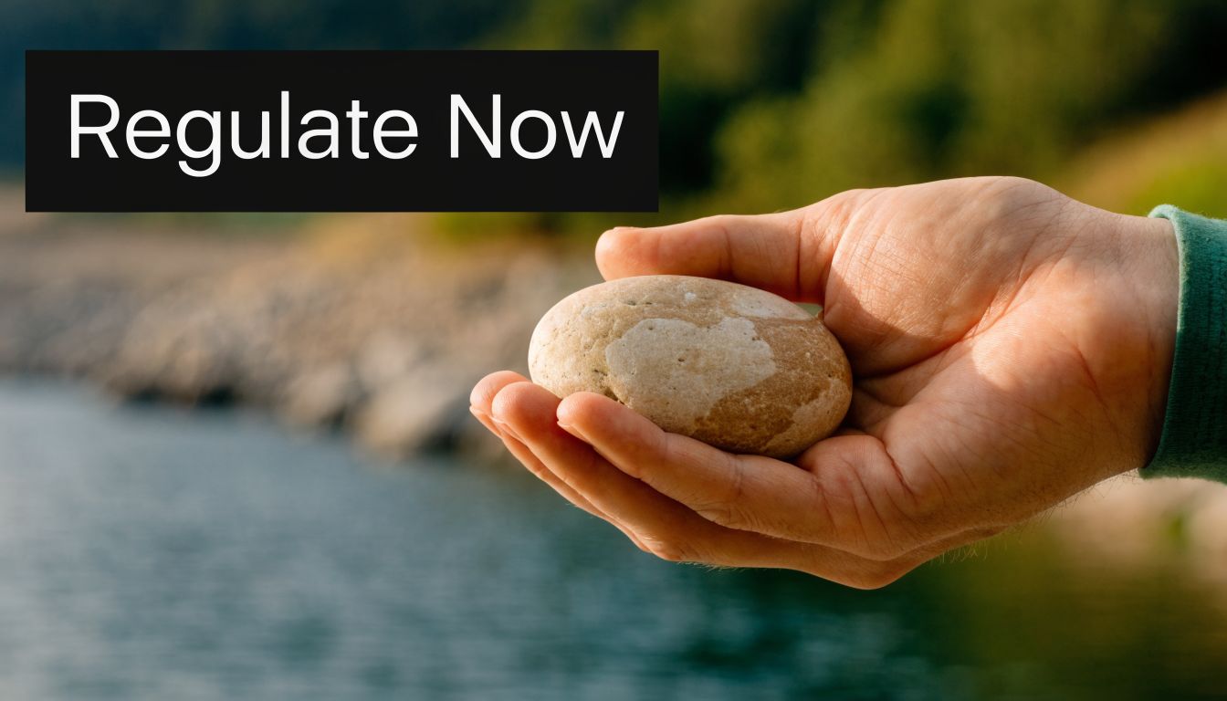 A person holding a smooth stone in their hand with a calm lake and nature in the background.