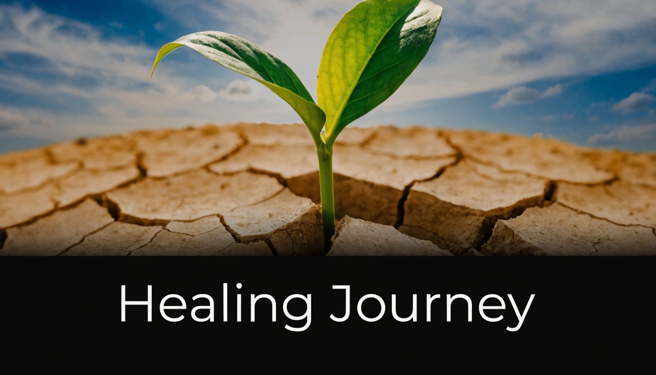 A small green seedling growing from cracked dry soil, representing a new beginning or healing journey.