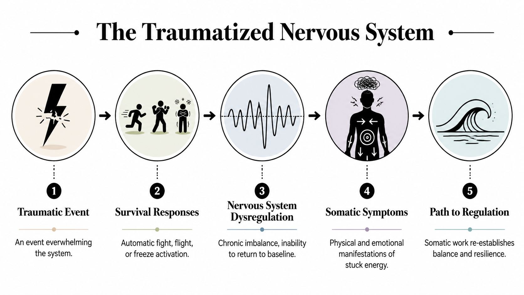 A five-step flowchart illustrating how trauma impacts the nervous system, leading to dysregulation and eventual regulation.