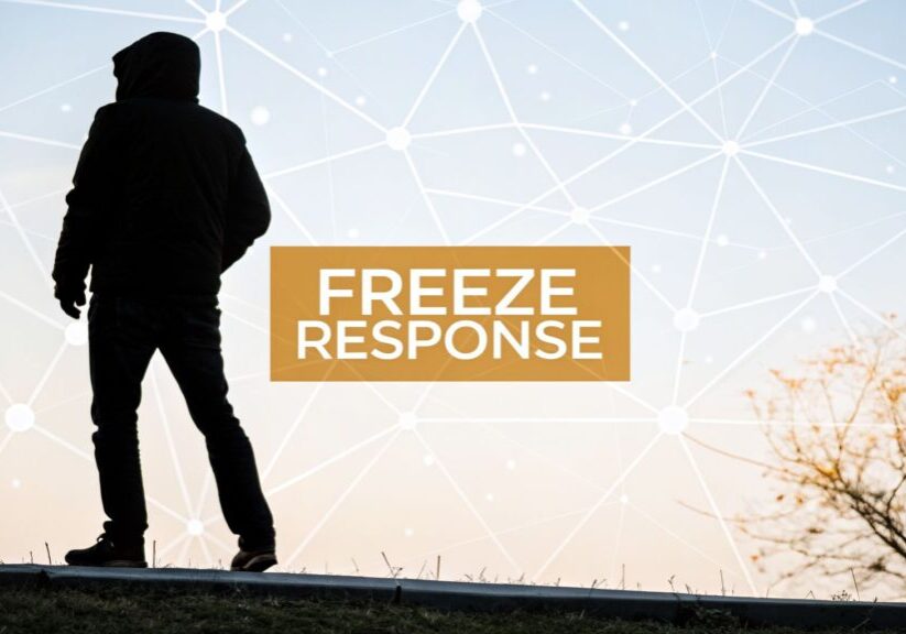 freeze-trauma-response-silhouette-network