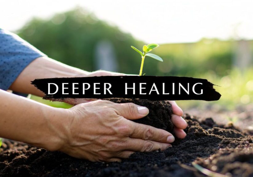 what-is-trauma-informed-therapy-healing-plant